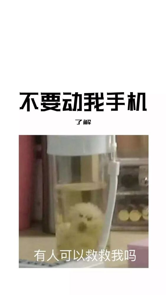 最近很火的"不要动我手机"系列壁纸