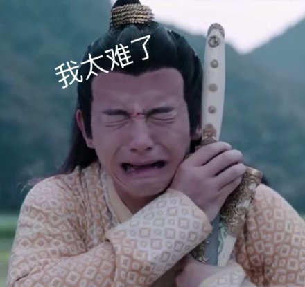陈情令表情包:金凌太难了,抱着剑哭得像个孩子!