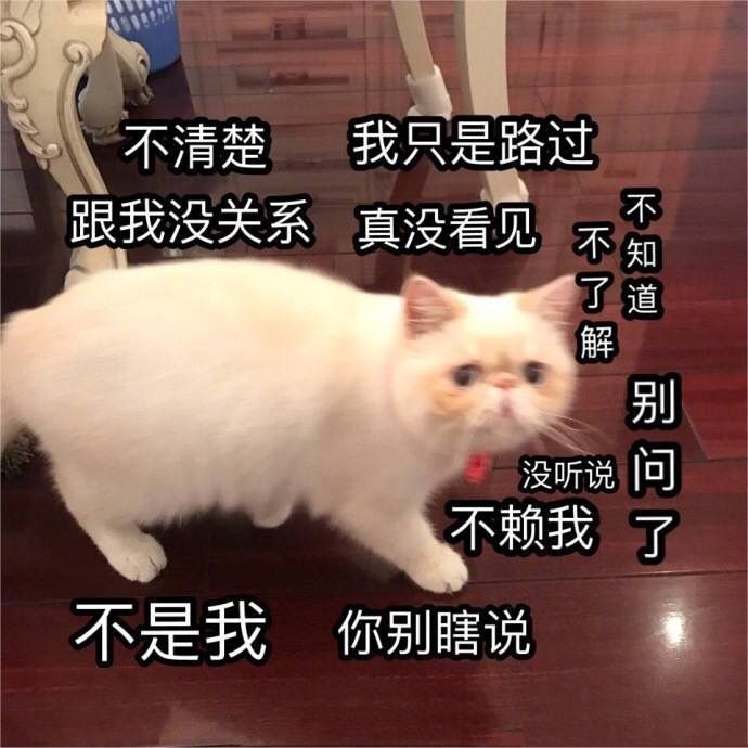 哄对象开心一张不能少