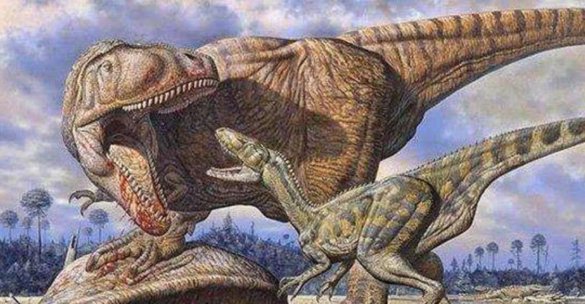 蛮龙,也叫蛮王龙,野蛮龙,是最大的食肉恐龙之一,性情残暴,腿粗壮而
