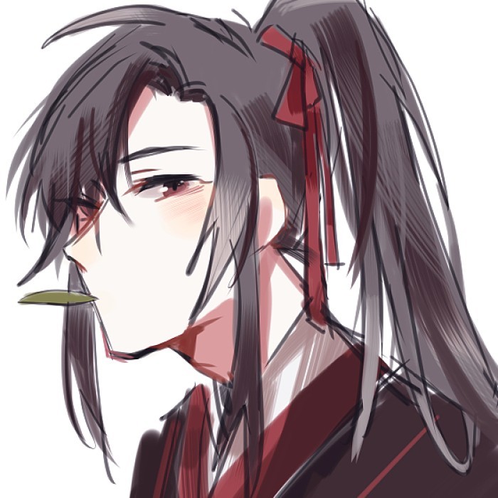 二次元超火的魔道祖师头像眼盲的晓星尘看起来很凄美