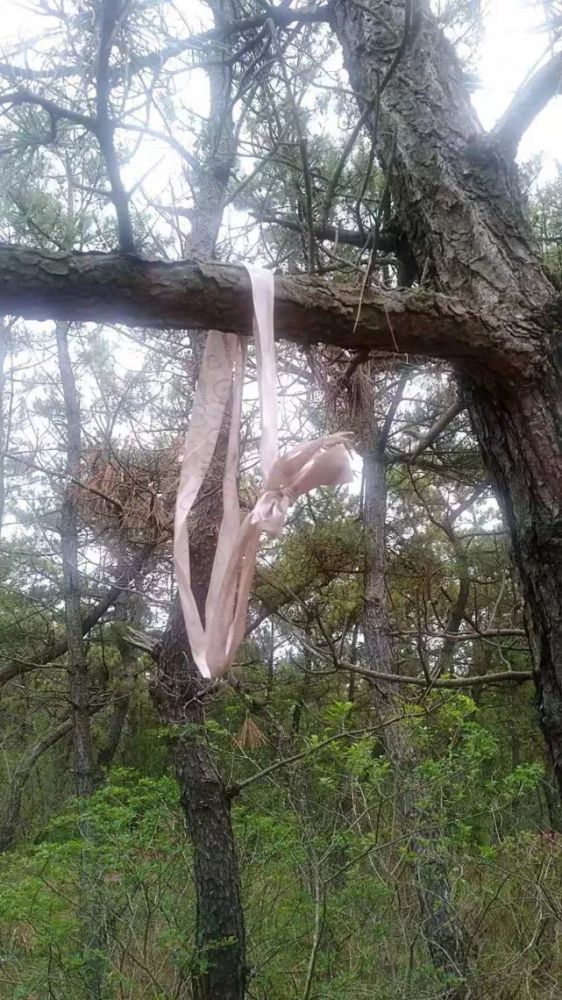 自家祖坟前发现烟头和上吊绳