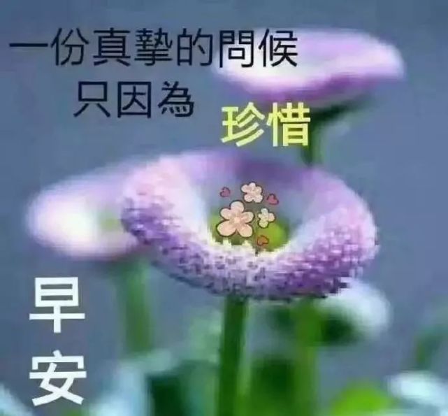 秋季早上好图片星期六早上好问候语大全早上幽默问候