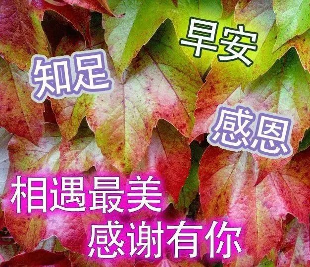 秋季早上好图片星期六早上好问候语大全早上幽默问候