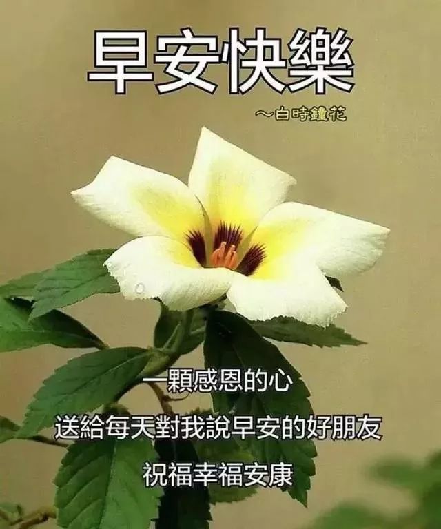 8月29日周六温馨暖心的早上好动态图片大全 早上好阳光问候表情图片