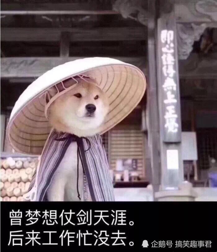 爆笑图片:发现哪里不对了吗?