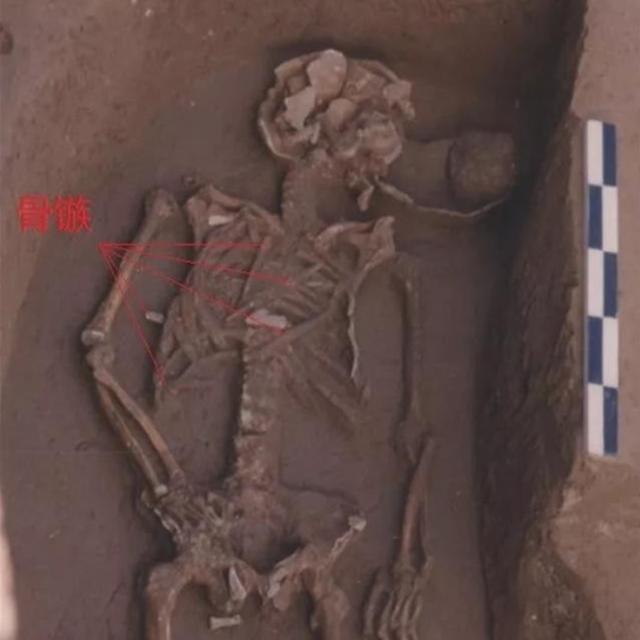 重庆古墓证实,早在5000年前,中国人就掌握了初步人体解剖学
