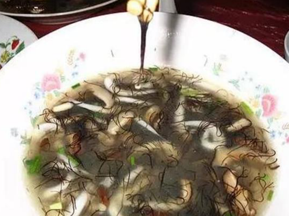 这种野生藻类植物名叫发菜,别名,地毛,旃毛菜,地毛菜,仙菜,净池菜