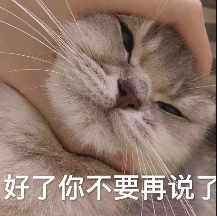 可爱猫咪表情包:你是哪块小饼干