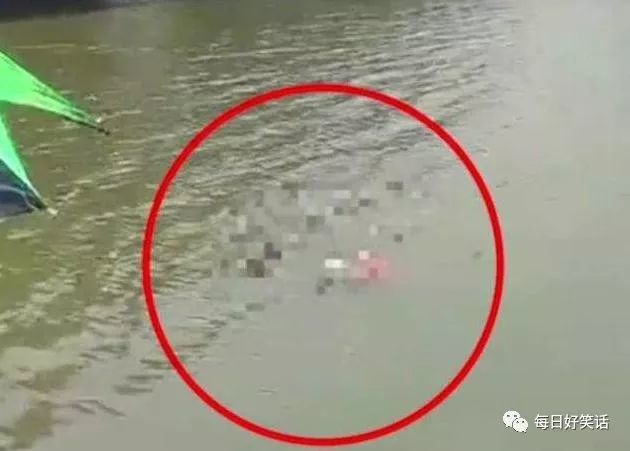 8岁女孩被爷爷"绑石沉河"溺死一案终于判了,结果不尽人意