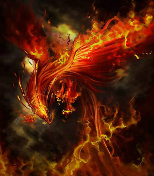 传说中的神鸟,凤凰其实有5种,只有它才是火焰的象征!