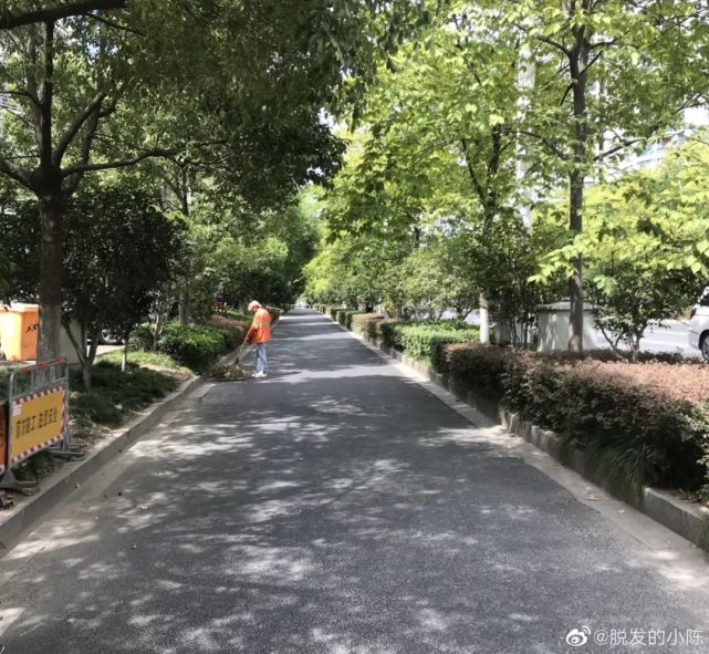 网恋小姐姐约我见面,结果却被她骗去扫大街?