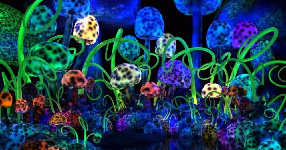 让人产生幻觉的毒蘑菇,可以治疗抑郁症?