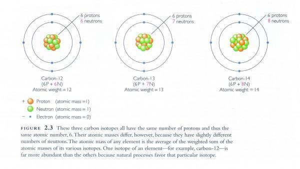 碳14变革性发现:科学家曾被当作杀人犯,下水道研究助获诺奖