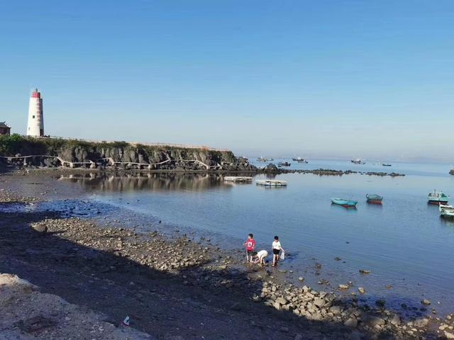 山东龙口桑岛三天两晚旅游详细攻略,第二天,赶海,钓鱼,下海