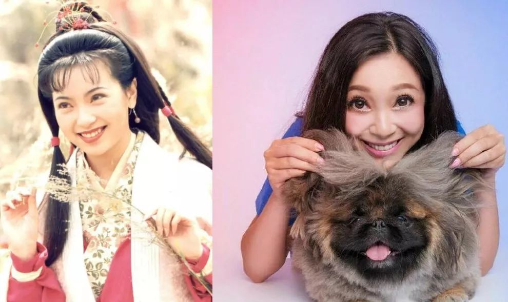 富豪前夫恋嫩妹,百亿前男友娶新欢,傅明宪醉心整容再撞脸外星人