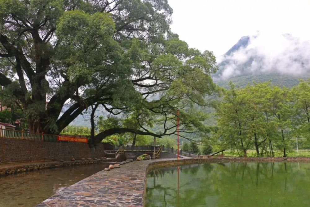 连南大麦山镇第四届"开唱节"明天开幕! 河畔竹排,万众渔乐. 等着你!