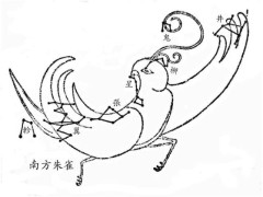 山海经星兽系列,二十八星宿中的井宿,井木犴