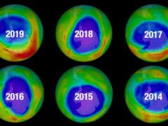 南极臭氧空洞面积缩至近40年最小