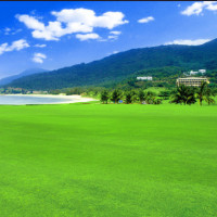 从前在我家的门前有一条小河 小河里有这个!