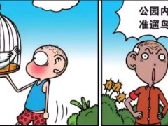 搞笑漫画:公园不准遛鸟咋办?呆头妙招让管理员闭口无语