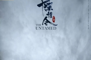 小说看过的电视剧你改编哪几部?电视连续剧夜合花全集图片