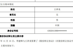 王泽龙有望"上位"中核钛白实控人 与龙蟒佰利第四大股东同名