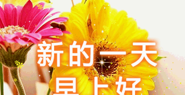 周一快乐!祝你平安健康!