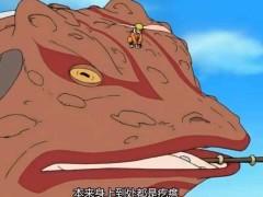 自来也和佩恩六道死斗,为何选择召唤蛤蟆健,而不是最强的文太?
