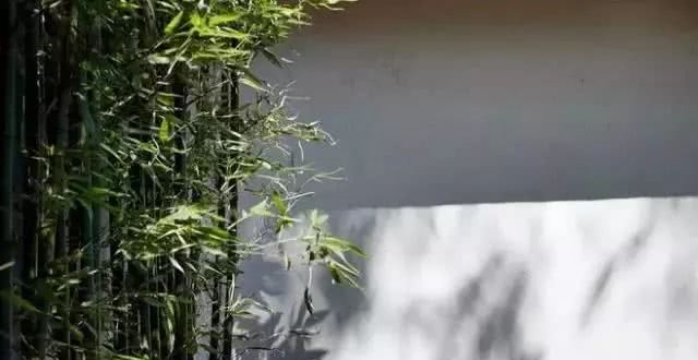 不问世事,莫染红尘,过几天悠闲自在的日子