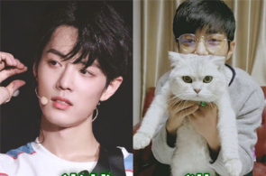 明星的宠物多奇葩,肖战是猫奴,朱一龙养蚂蚁,王思聪宠物被吃掉_2
