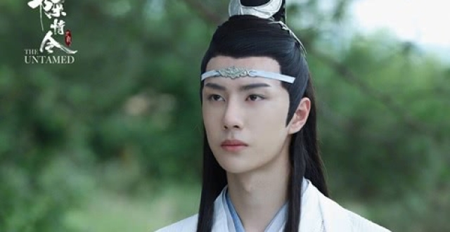 《陈情令》:蓝忘机归于配角?你们问过魏无羡意见了吗