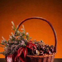 搞笑视频天天更新