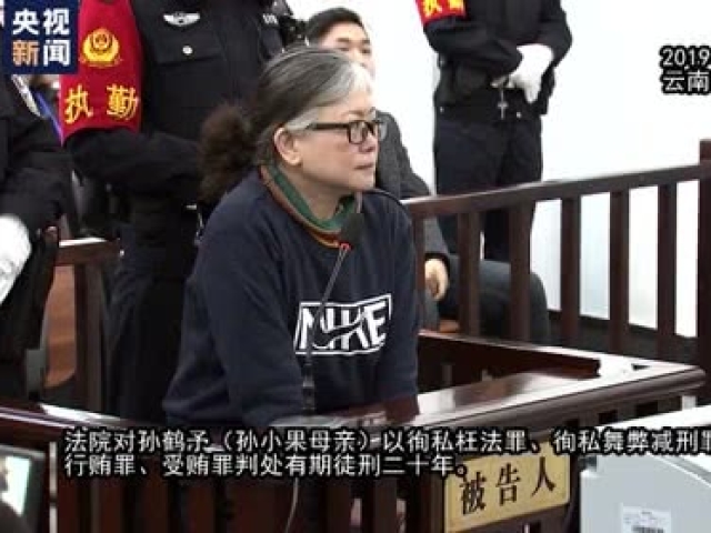 独家视频:涉孙小果案19人获刑