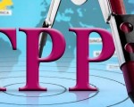 TPPȥδ 11¾״