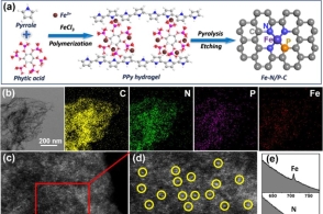 陈义旺jacs:氮磷双配位单原子铁催化剂高效促进orr反应