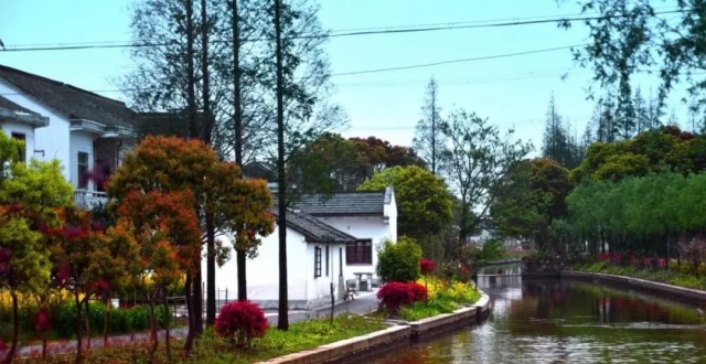 青浦区朱家角张马村,淀峰村和夏阳街道塘郁村三个国家森林乡村,你都去