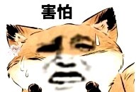 搞笑一组小狐狸表情包,呼叫小可爱