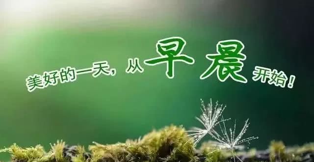 2月5日正月十二最新漂亮群发早晨好动态表情图片 2020最美早安问候