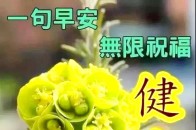 最新清晨早上好问候动态表情图片,漂亮的早安问候祝福语