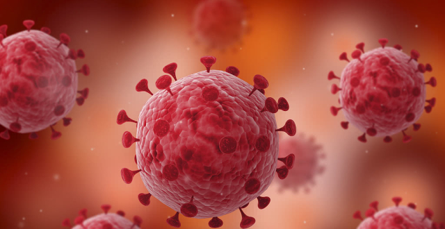 冠状病毒是什么样子_通过螨类传播的病毒是流行性出血热病毒_键盘记录器是病毒是怎么入侵的