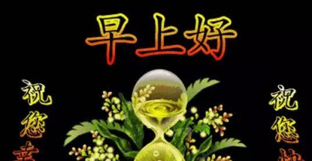 2019大家早上好的漂亮图片带字,早上好可爱小猪动态