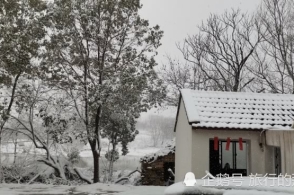 今天早上起床,发现天降暴雪,湖北随州广水农村雪景多美,快来看哦!