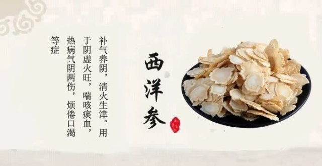 中药故事分享:西洋参它有哪些药用功效?收藏!