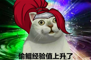 英雄联盟 风暴之怒
