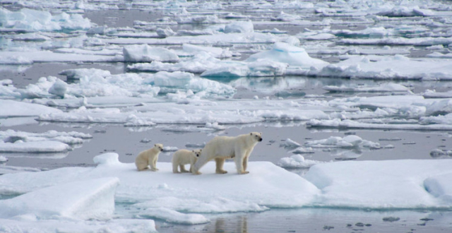 随着全球气候变暖,冰川内的古老病毒是否即将"复苏"?