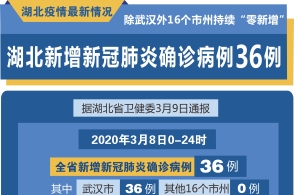 湖北新增新冠肺炎确诊病例36例 除武汉外16个市州持续"零新增"