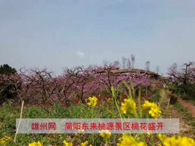 简阳东来桃源景区桃花盛开
