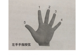 吉他左右手指名称