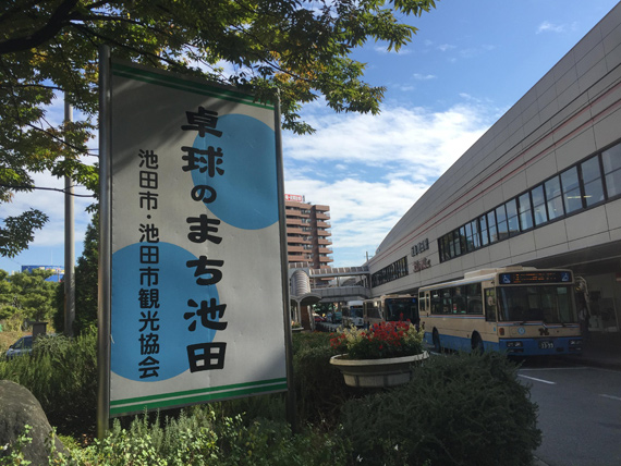 何智丽 孤独的 叛国者